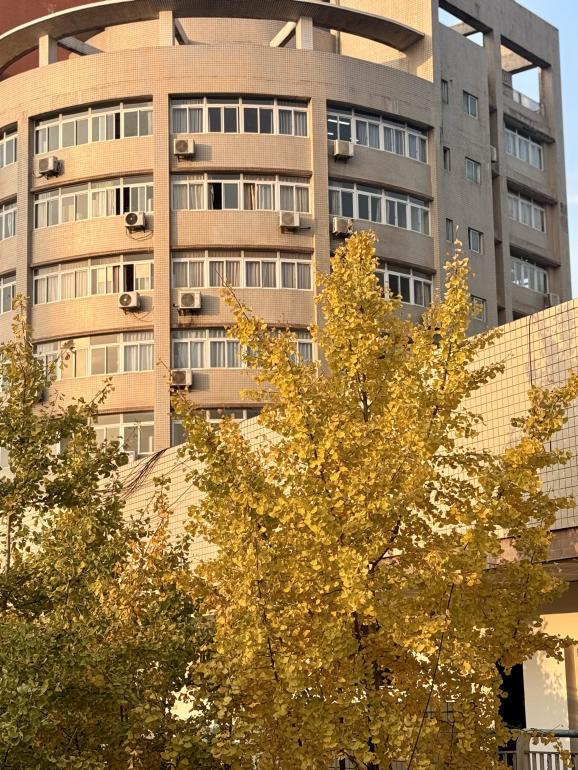 image13.jpeg